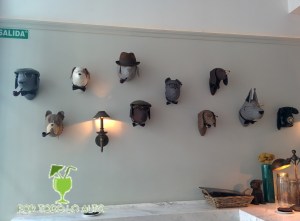 el perro y la galleta